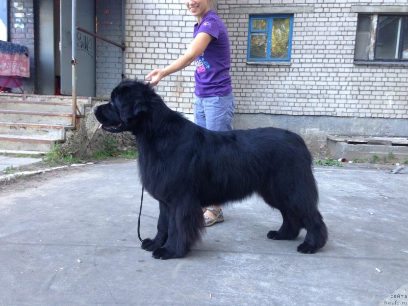 Фотография № 130333