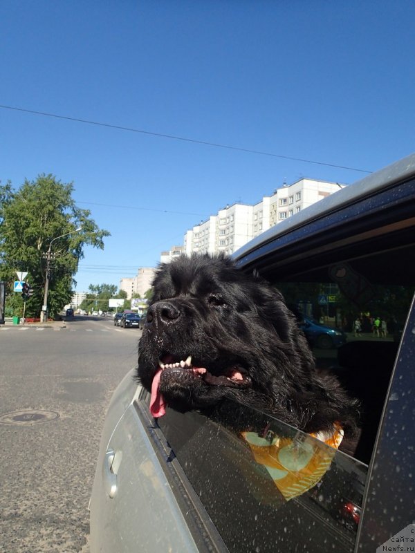 Фотография № 130339