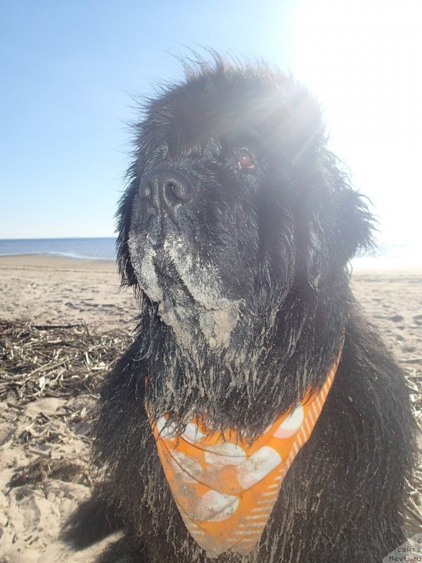 Фотография № 130343