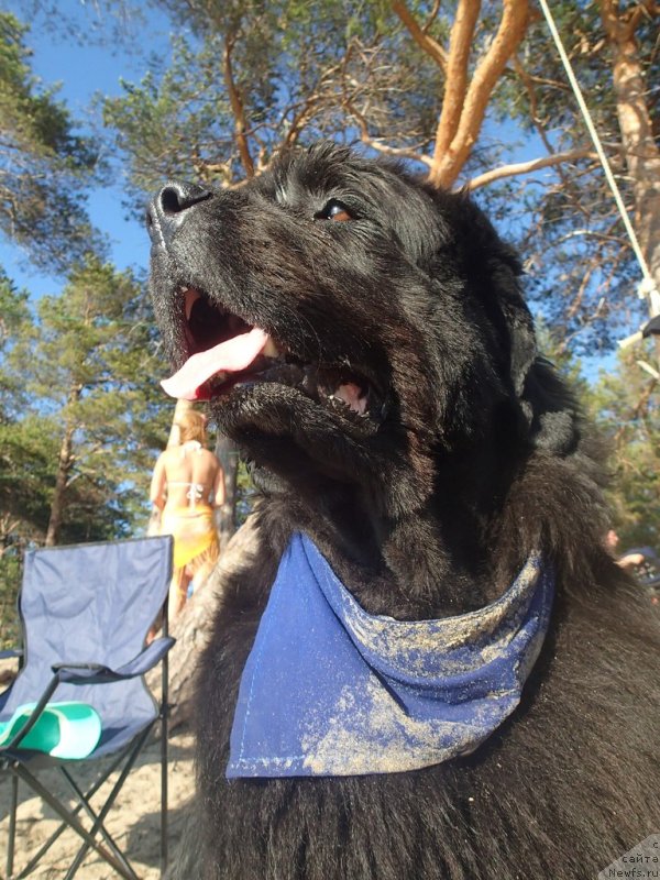 Фотография № 130345