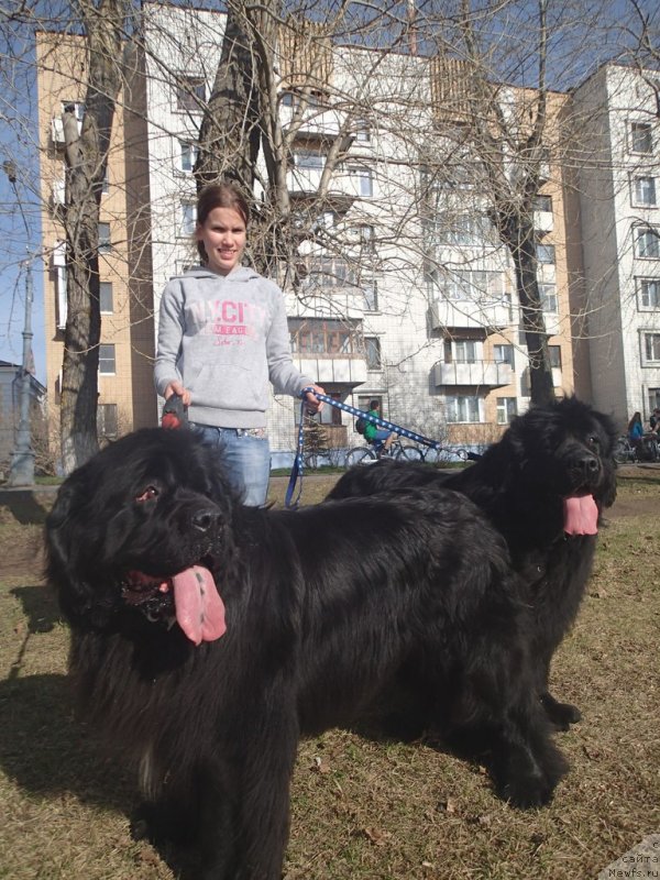 Фотография № 130348