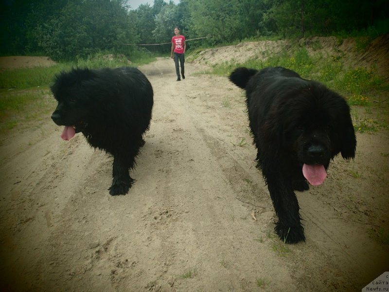 Фотография № 130349