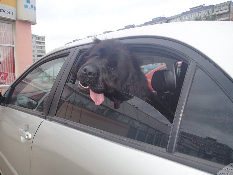 Фотография № 130350