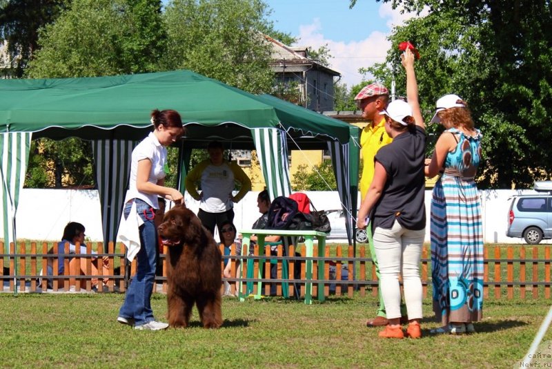 Фотография № 130365