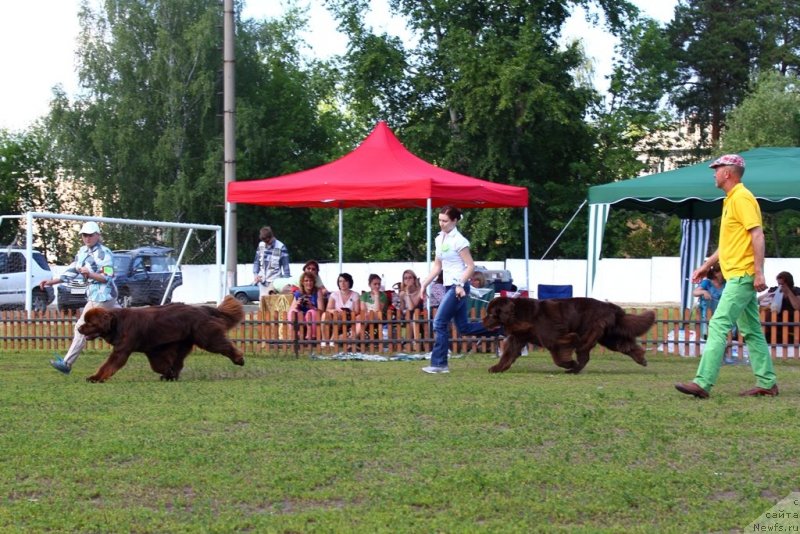 Фотография № 130367