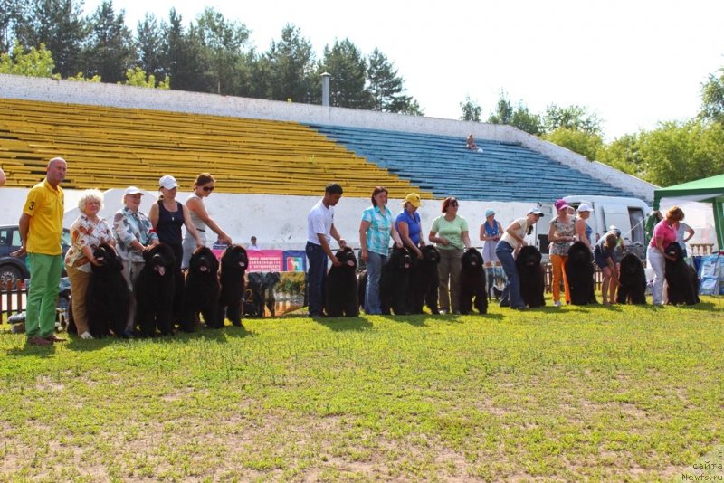 Фотография № 130373