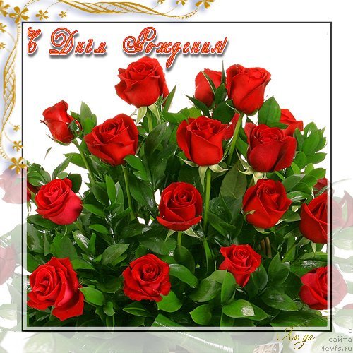 Фотография № 130399