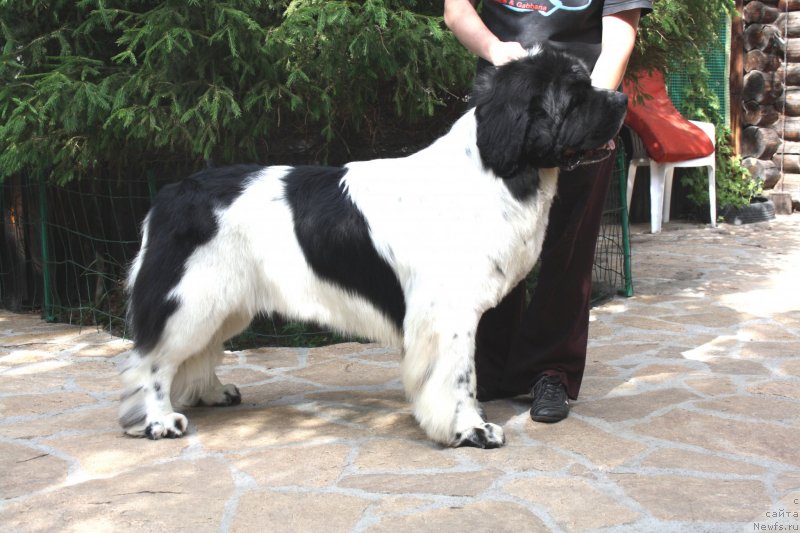 Фотография № 130400