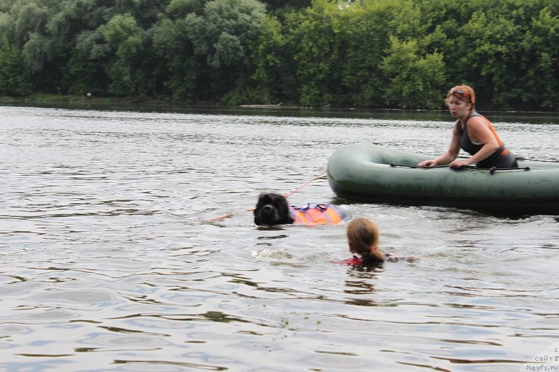 Фотография № 130409