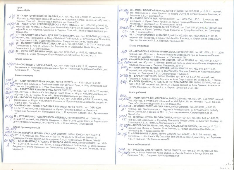 Фотография № 130413