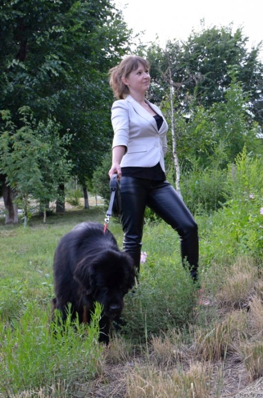 Фото: Irina Pavlova (Ирина Павлова), ньюфаундленд Bi Perfekt Arabella (Би Перфект Арабелла)