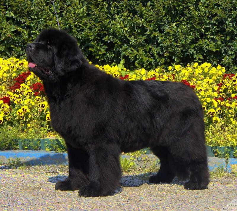 Фотография № 130455