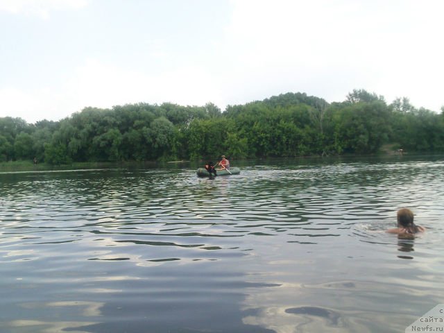 Фото: ньюфаундленд Toptyzhka Geroy Nashego Vremeni (Топтыжка Герой Нашего Времени)