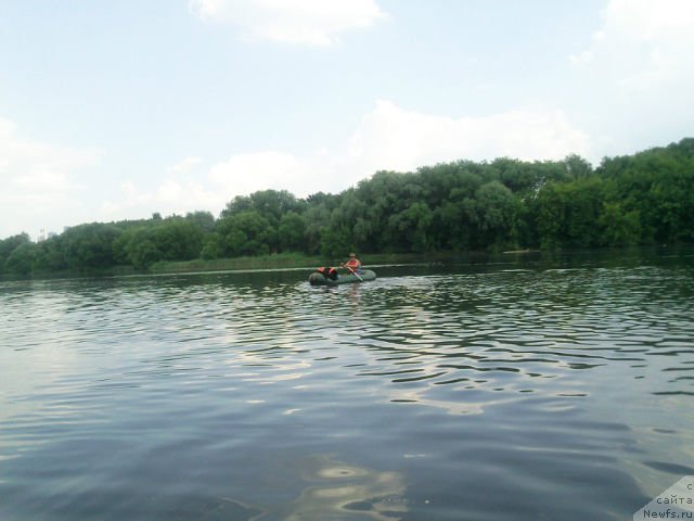 Фото: ньюфаундленд Toptyzhka Geroy Nashego Vremeni (Топтыжка Герой Нашего Времени)