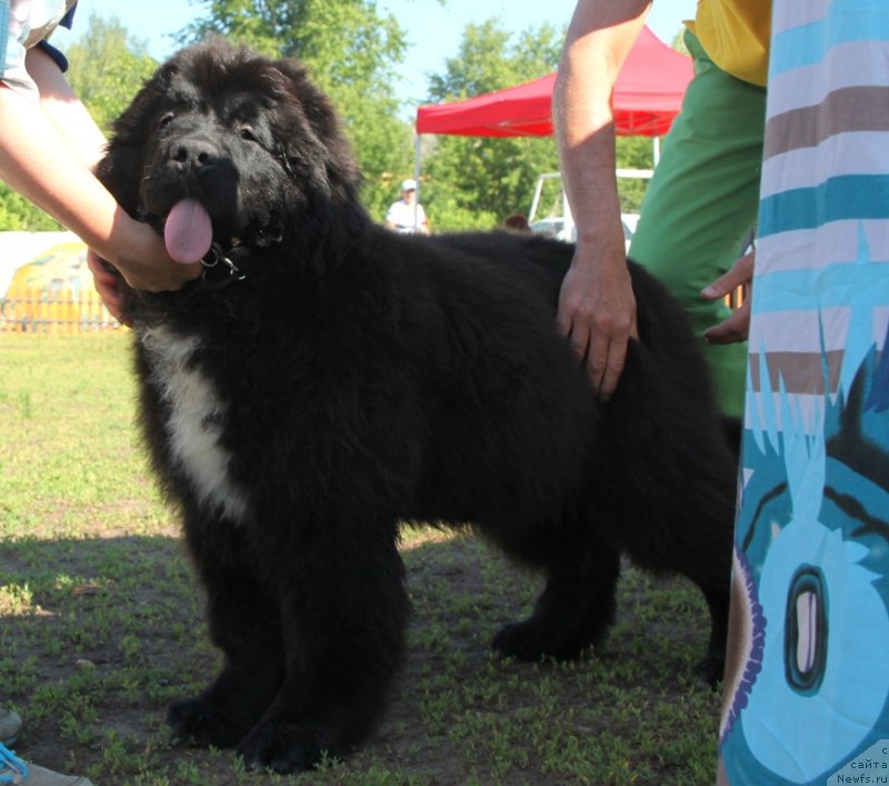 Фотография № 130482