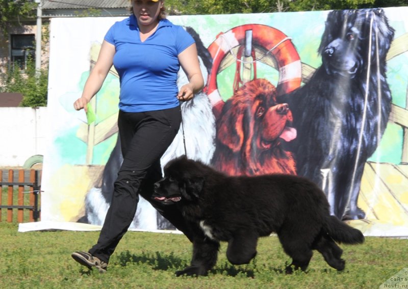 Фотография № 130484