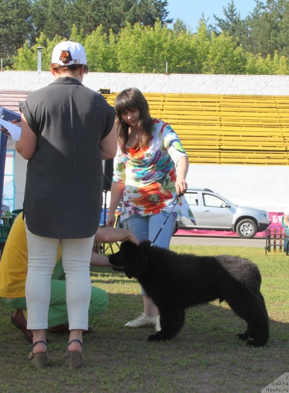 Фотография № 130487