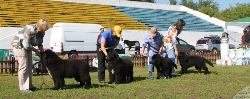 Фотография № 130493