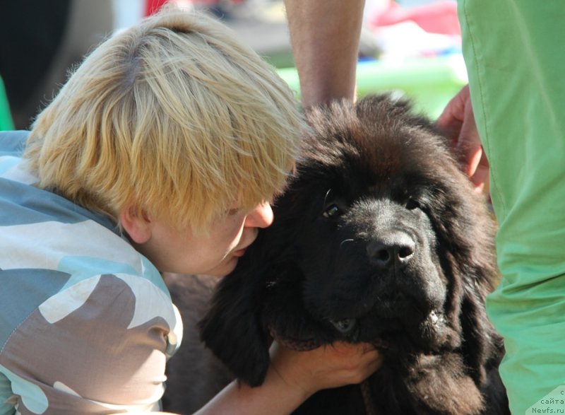 Фотография № 130501