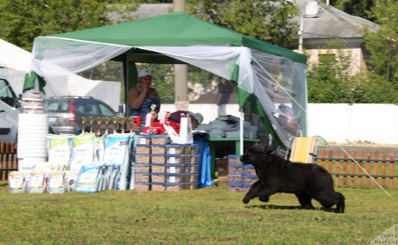 Фотография № 130503