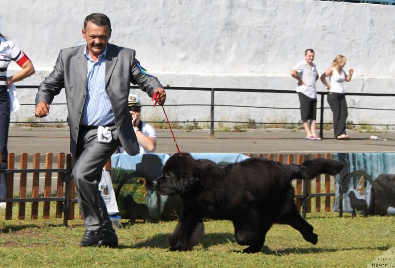 Фотография № 130507