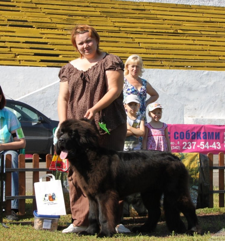 Фотография № 130510