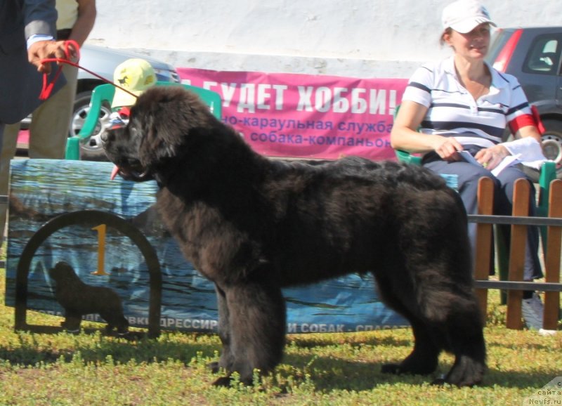 Фотография № 130511