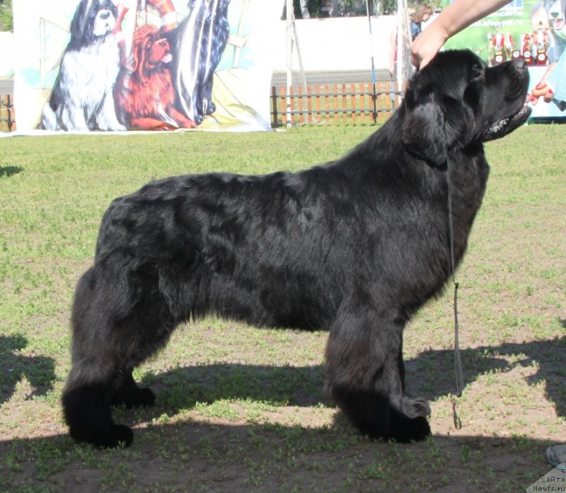 Фотография № 130514