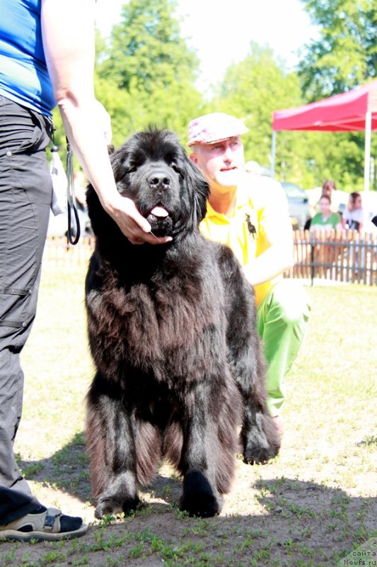 Фотография № 130523