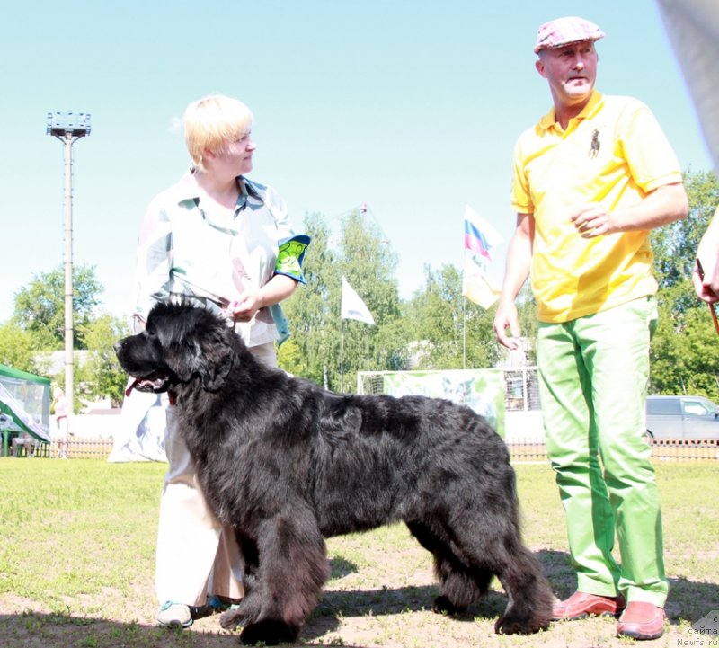 Фотография № 130524