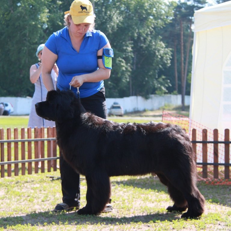 Фотография № 130528