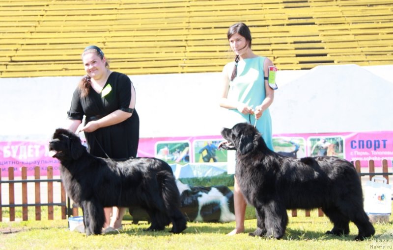 Фотография № 130532