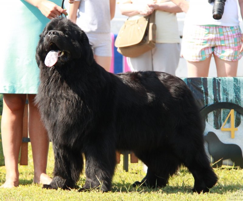 Фотография № 130534