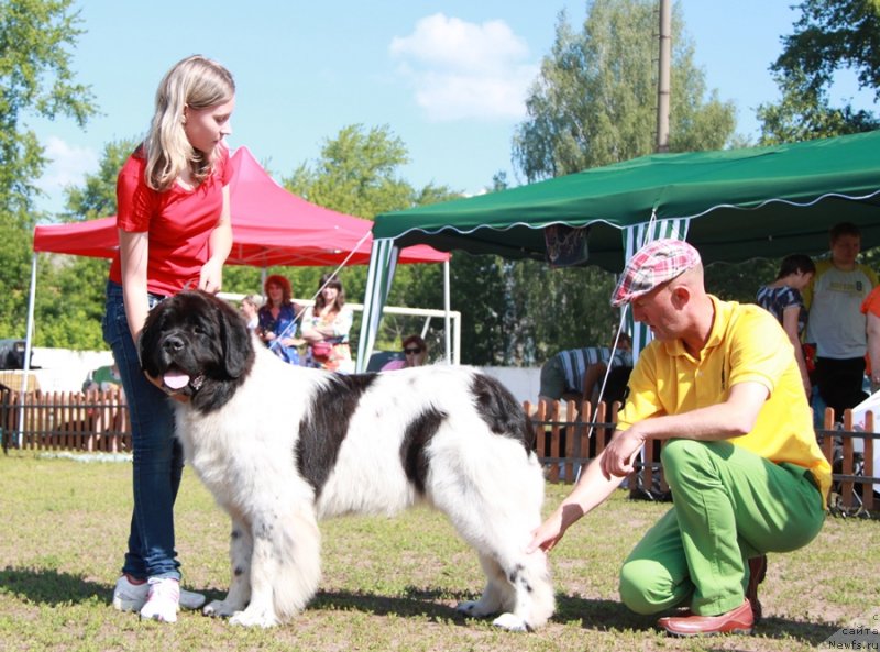 Фотография № 130536