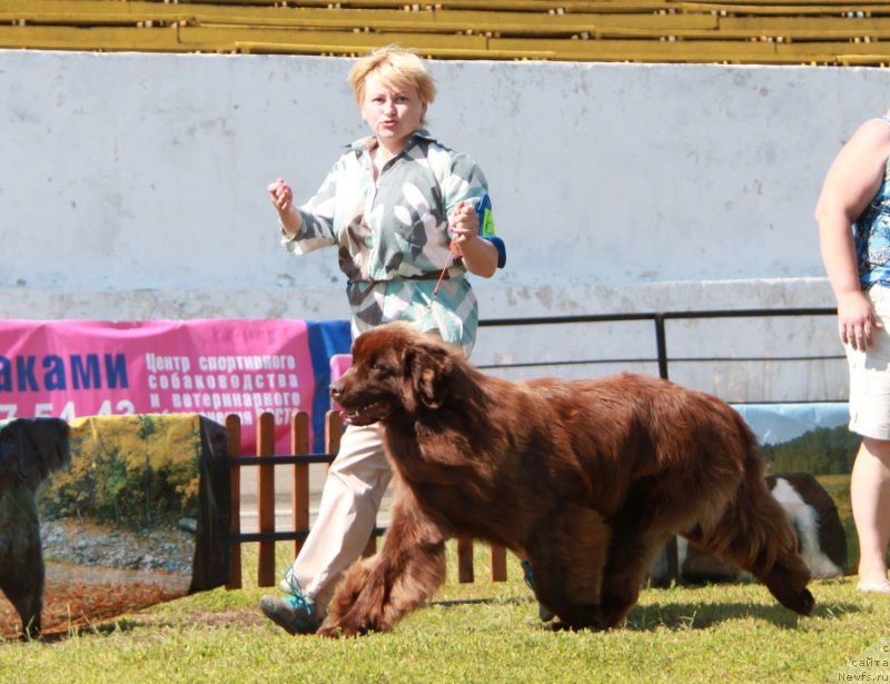 Фотография № 130548