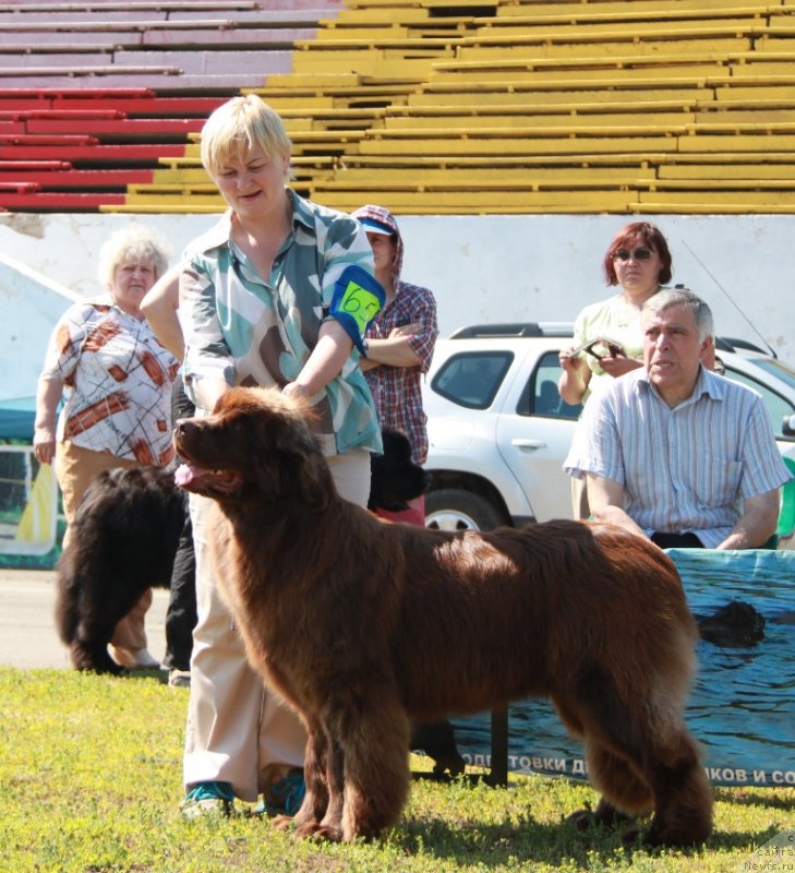 Фотография № 130549