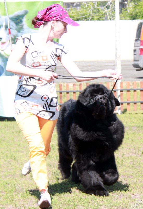 Фотография № 130555