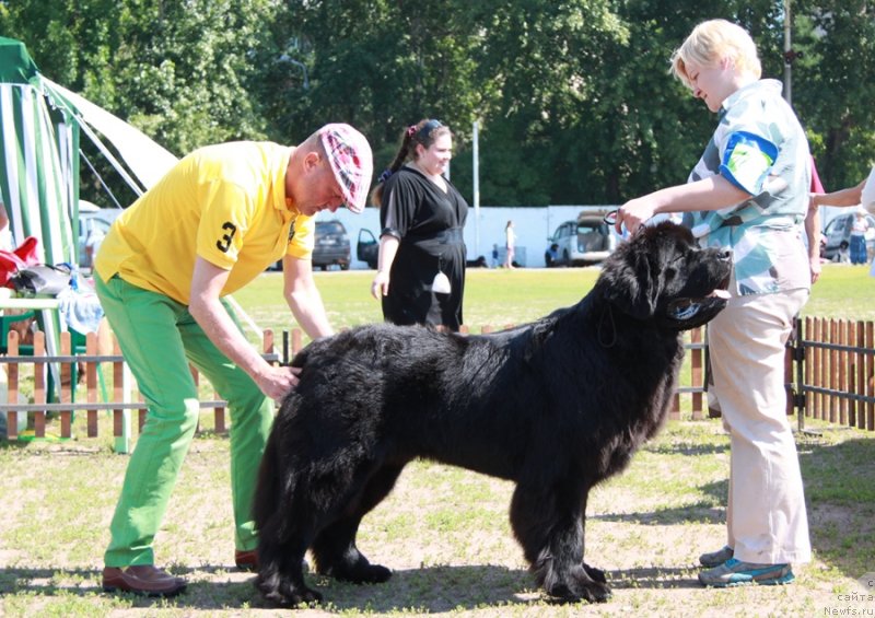 Фотография № 130559