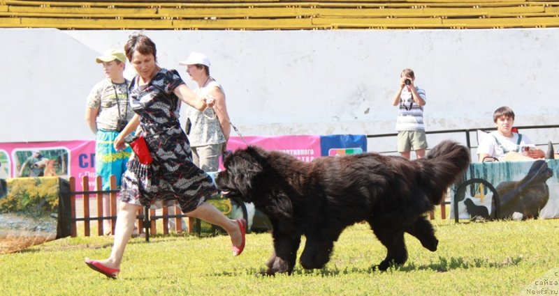 Фотография № 130560