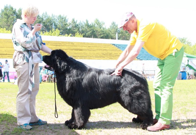 Фотография № 130563