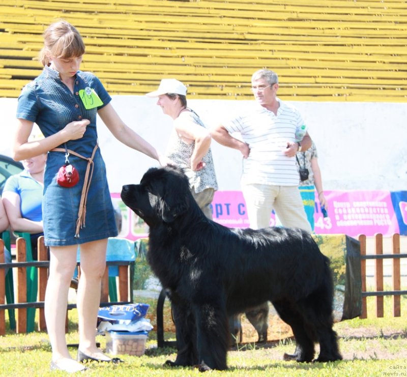 Фотография № 130566