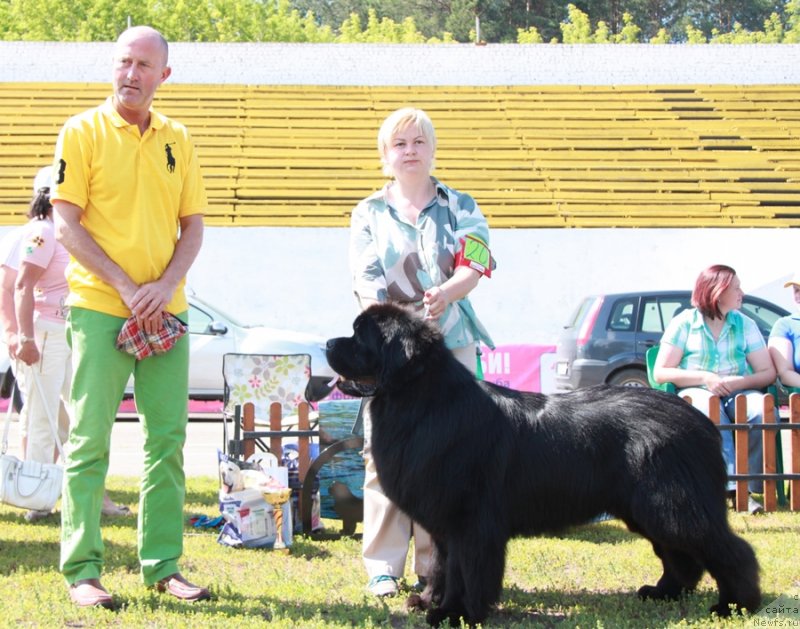 Фотография № 130567