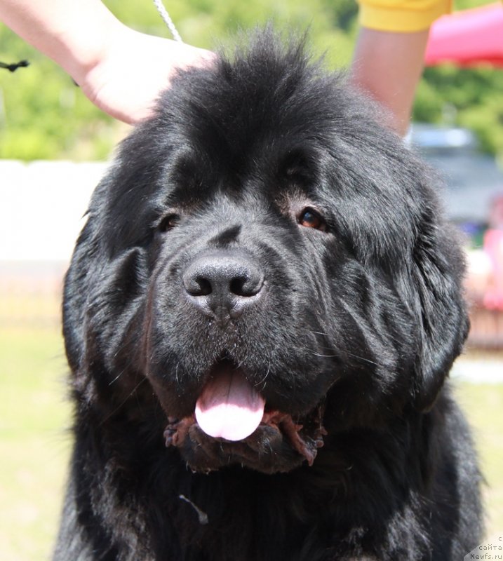 Фотография № 130570