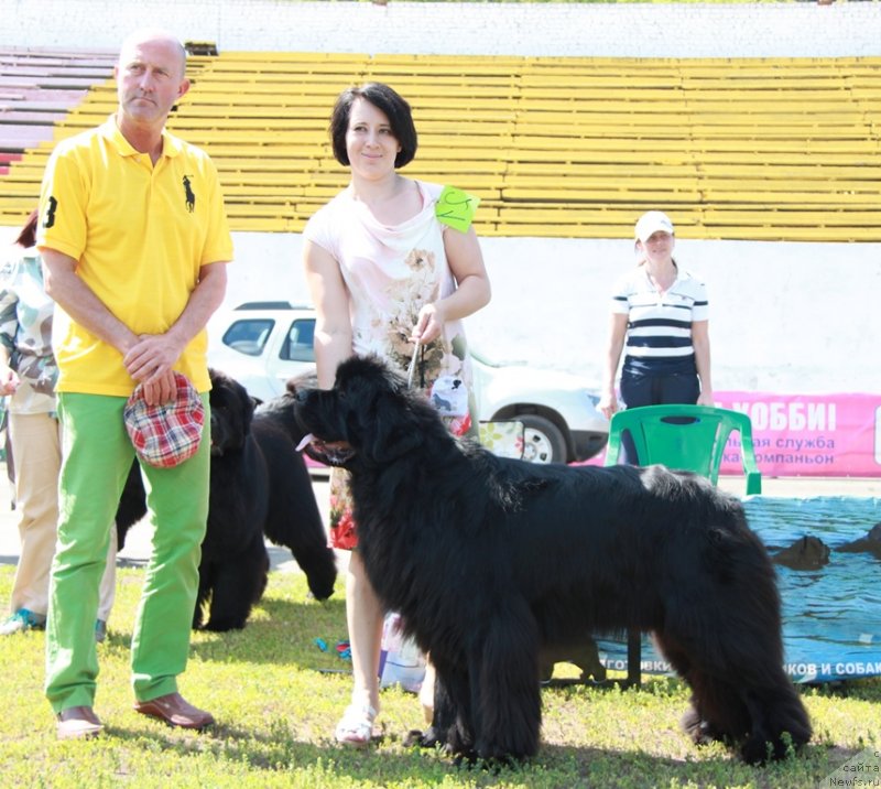 Фотография № 130572