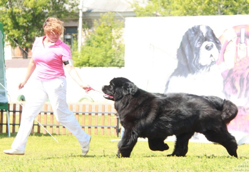 Фотография № 130574