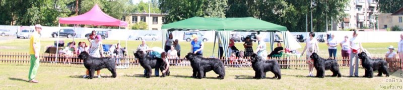 Фотография № 130579