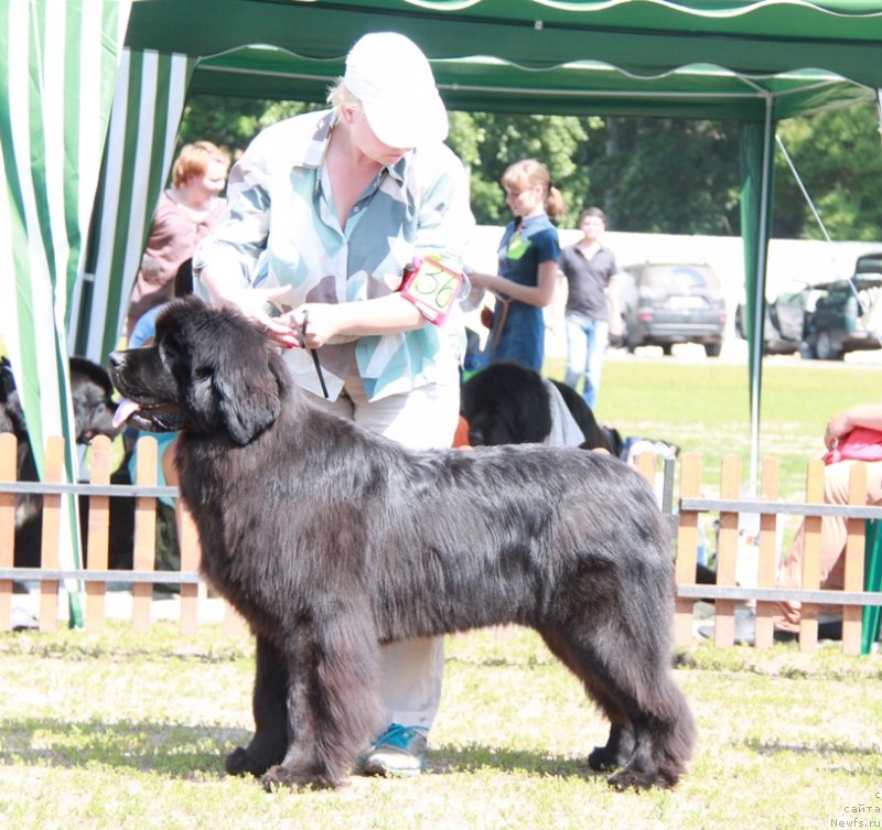 Фотография № 130611