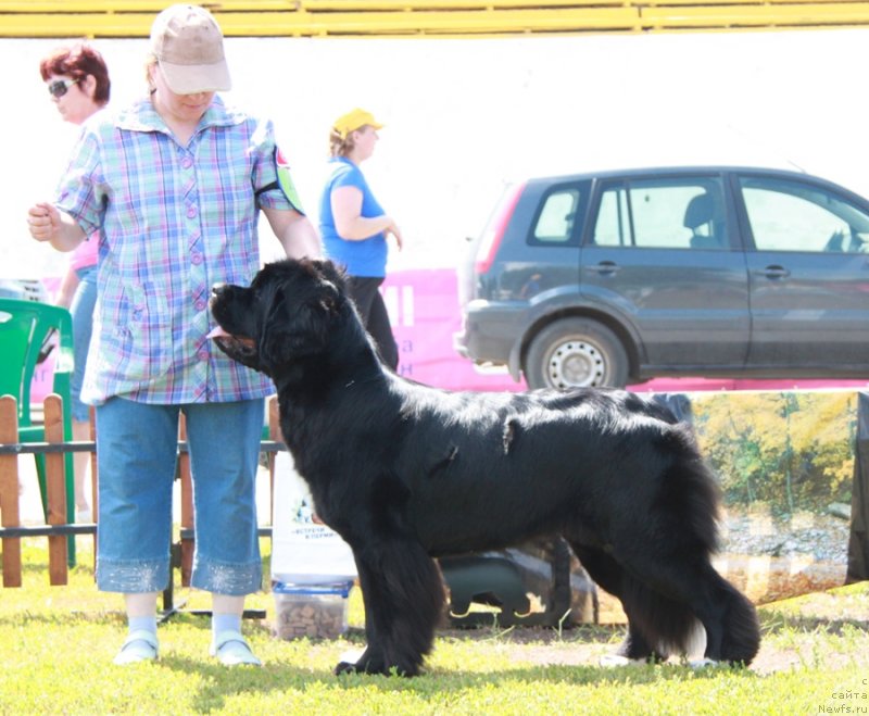 Фотография № 130614