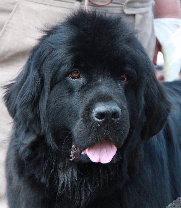 Фотография № 130634