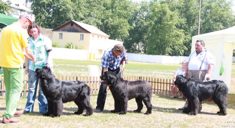 Фотография № 130635